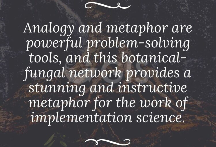 Analogy and metaphor are powerful problem-solving tools, and this botanical-fungal network provides a stunning and instructive metaphor for the work of implementation science.